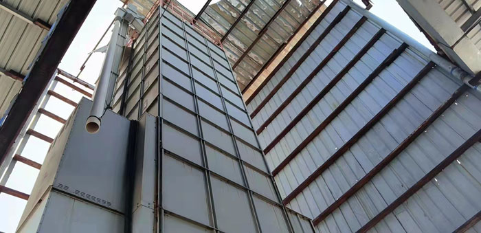 ���ּZʳ�����