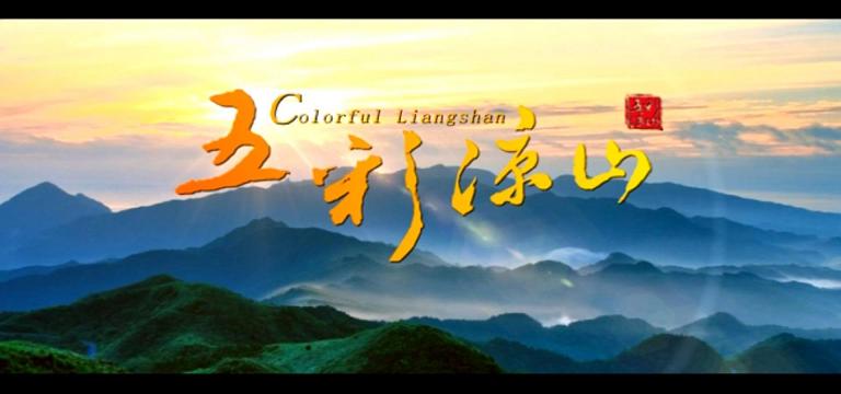 ������������Ƭ