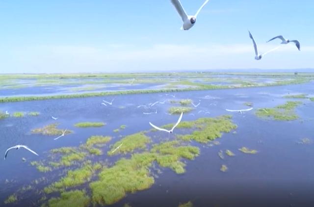 ��������Ƭ