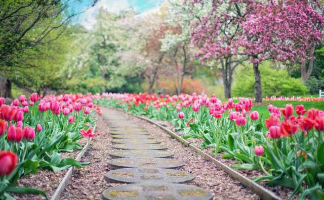 ���ՏV��Ƭ����