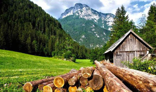 ���ՏV��Ƭ����