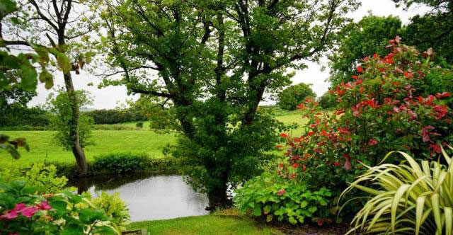 ���ՏV��Ƭ����