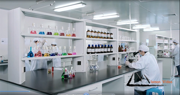 ��������Ƭ����