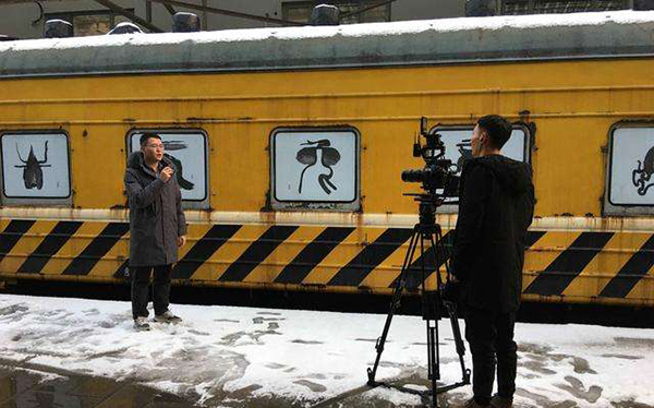 ������������Ƭ