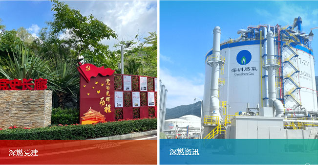 ����Ƭ�Ĕz