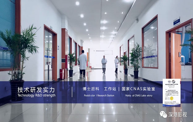 ·��Ƭ����